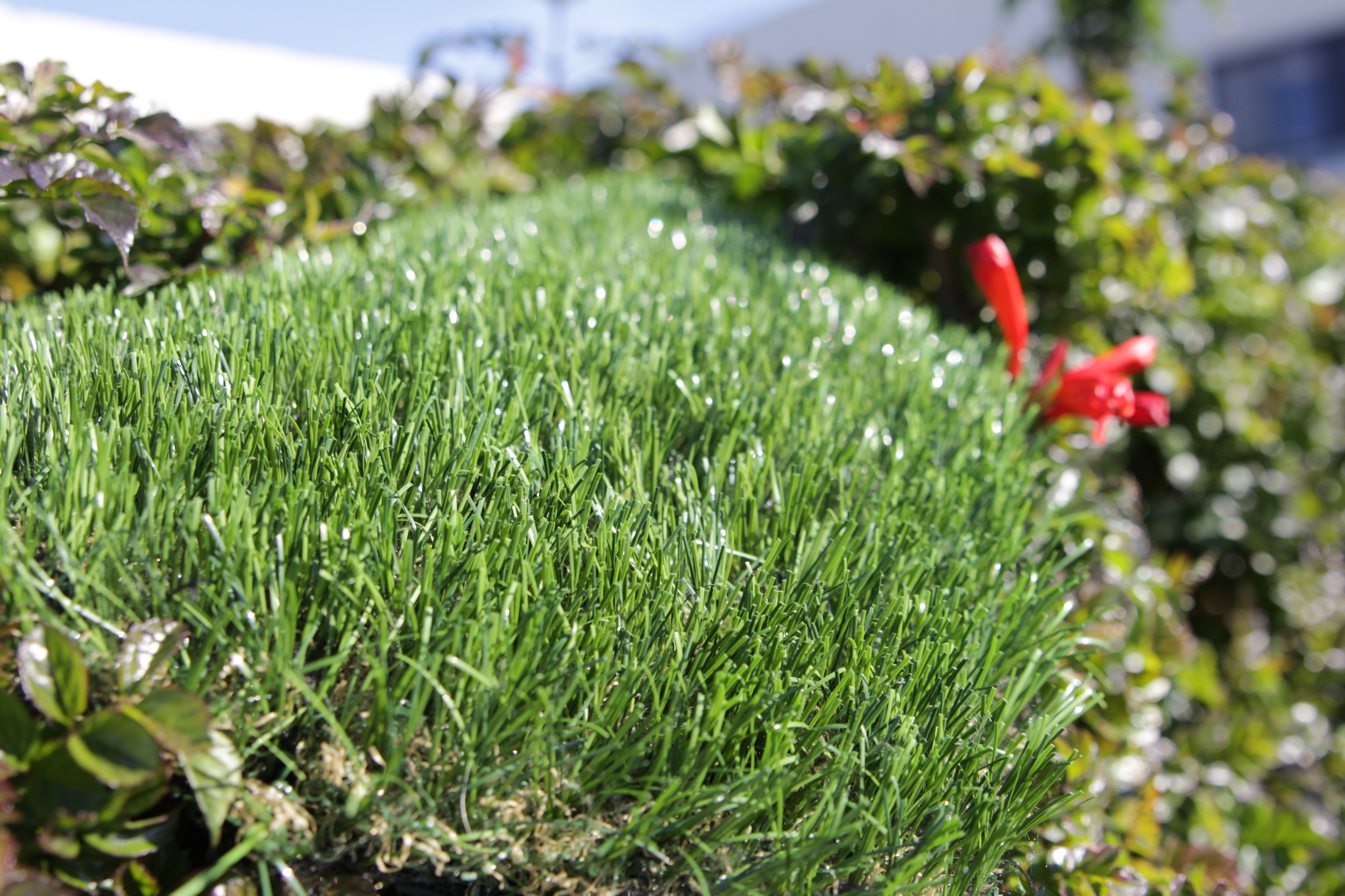 Artificial Grass Silky-Smooth Artificial Grass