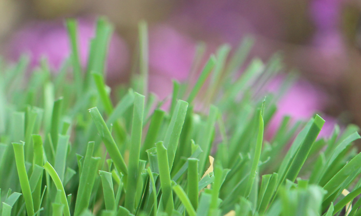 Artificial Grass Emerald-52 Artificial Grass Oregon