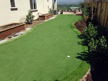 Artificial Grass Photos: Artificial Grass Carpet Adair, Oklahoma Golf Green, Backyard Ideas