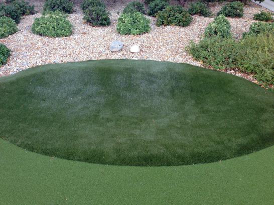 Artificial Grass Photos: Artificial Grass Carpet Boynton, Oklahoma Diy Putting Green