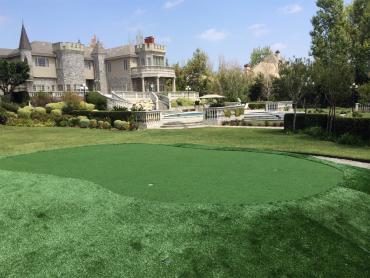 Artificial Grass Carpet Tahlequah, Oklahoma Home And Garden, Front Yard Landscaping artificial grass