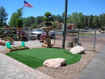 Artificial Grass Photos: Artificial Grass Installation Afton, Oklahoma Backyard Putting Green, Commercial Landscape