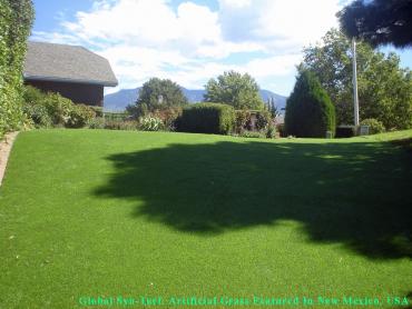Artificial Grass Photos: Artificial Grass Installation Moore, Oklahoma Indoor Dog Park, Backyard Landscaping
