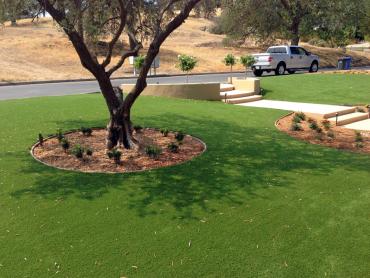 Artificial Grass Photos: Artificial Lawn Glencoe, Oklahoma Landscaping Business, Front Yard Design