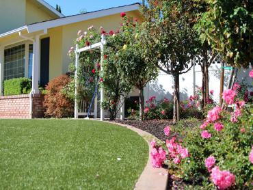 Artificial Grass Photos: Artificial Lawn Nicut, Oklahoma Landscaping, Landscaping Ideas For Front Yard