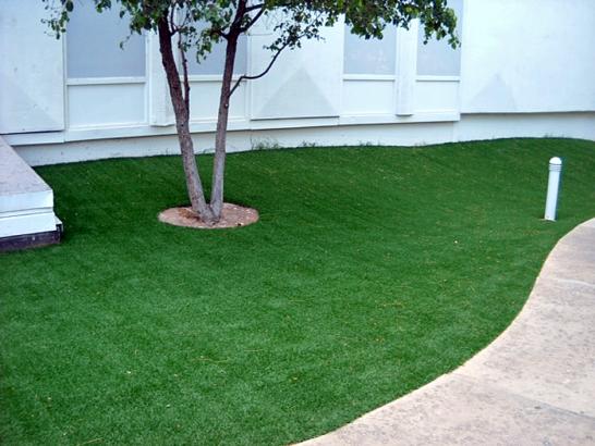 Artificial Grass Photos: Artificial Turf Braman, Oklahoma Backyard Deck Ideas, Commercial Landscape