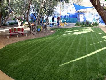 Artificial Grass Photos: Artificial Turf Cost Fort Coffee, Oklahoma Landscape Ideas, Commercial Landscape