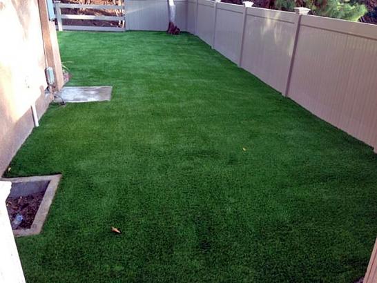 Artificial Turf Cost Iron Post, Oklahoma Cat Grass, Backyard Landscape Ideas artificial grass