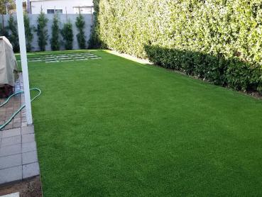 Artificial Grass Photos: Artificial Turf Cost North Miami, Oklahoma Paver Patio, Backyard Landscape Ideas