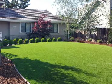 Artificial Grass Photos: Artificial Turf Cost Union City, Oklahoma Paver Patio, Front Yard Landscaping Ideas