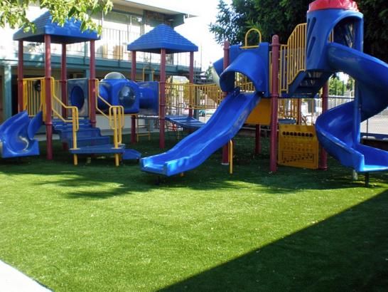 Artificial Grass Photos: Artificial Turf Cost Wickliffe, Oklahoma Landscaping Business, Commercial Landscape