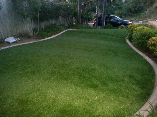 Artificial Grass Photos: Artificial Turf Hobart, Oklahoma City Landscape, Front Yard Landscaping