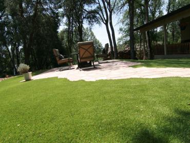 Artificial Grass Photos: Artificial Turf Wetumka, Oklahoma Design Ideas, Backyard Landscaping