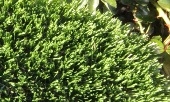Hollow Blade-73 syntheticgrass Artificial Grass Oregon