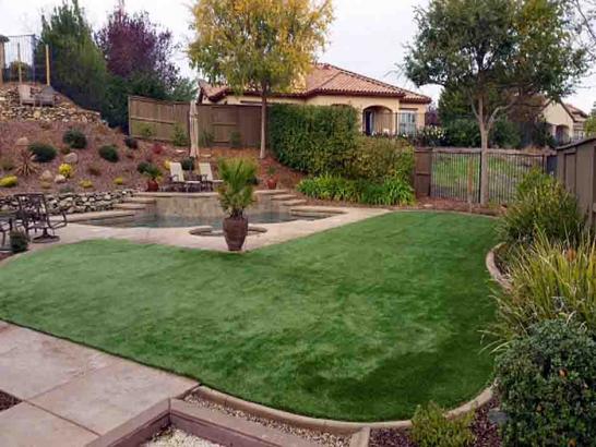 Artificial Grass Photos: Best Artificial Grass Blackgum, Oklahoma Design Ideas, Backyard Landscape Ideas