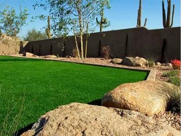 Artificial Grass Photos: Best Artificial Grass Millerton, Oklahoma Landscape Ideas, Backyard Landscape Ideas