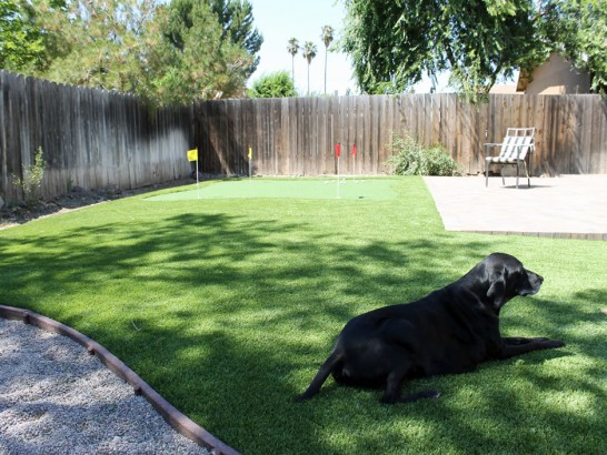 Artificial Grass Photos: Fake Grass Carpet Guthrie, Oklahoma How To Build A Putting Green, Grass for Dogs
