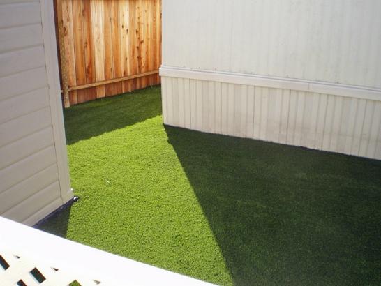 Artificial Grass Photos: Fake Grass Carpet Leon, Oklahoma Dog Running, Beautiful Backyards