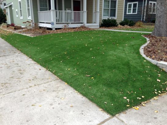 Artificial Grass Photos: Fake Lawn Braggs, Oklahoma Design Ideas, Front Yard Landscape Ideas