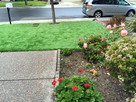 Artificial Grass Photos: Fake Lawn Centrahoma, Oklahoma Landscaping Business, Front Yard Landscaping Ideas