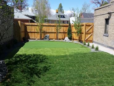 Artificial Grass Photos: Fake Lawn Chandler, Oklahoma Lawn And Garden, Backyard Design