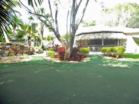 Artificial Grass Photos: Fake Lawn Dotyville, Oklahoma Indoor Putting Green, Commercial Landscape