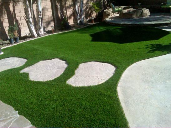 Artificial Grass Photos: Fake Lawn Elmer, Oklahoma Landscape Design, Backyard Landscaping