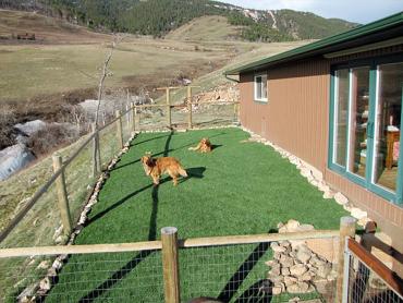 Artificial Grass Photos: Fake Lawn Marlow, Oklahoma Pet Paradise, Dogs Park