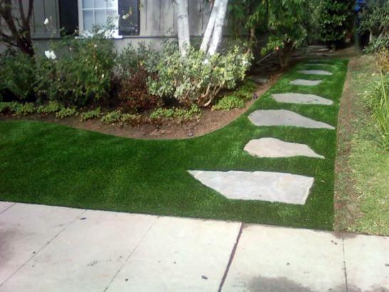 Artificial Grass Photos: Fake Lawn Tamaha, Oklahoma Backyard Deck Ideas, Small Front Yard Landscaping