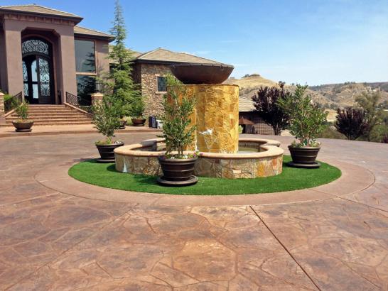 Artificial Grass Photos: Fake Turf Grant, Oklahoma Design Ideas, Front Yard Landscape Ideas