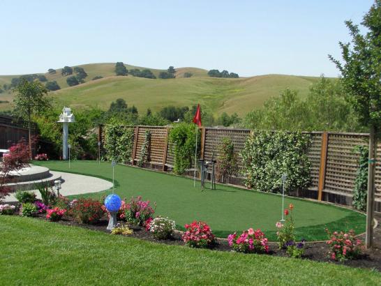 Artificial Grass Photos: Fake Turf Kildare, Oklahoma Home Putting Green, Backyard Design