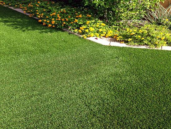 Artificial Grass Photos: Fake Turf Pump Back, Oklahoma City Landscape, Front Yard Landscaping