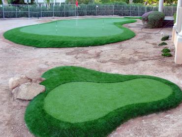 Artificial Grass Photos: Fake Turf Roff, Oklahoma Landscape Design, Front Yard Landscaping