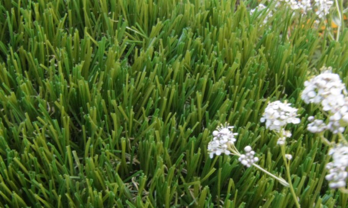 V Blade-64 syntheticgrass Artificial Grass Oregon