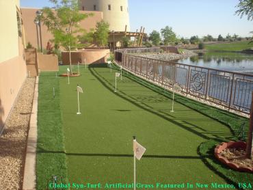 Faux Grass Broken Arrow, Oklahoma Landscaping, Small Backyard Ideas artificial grass