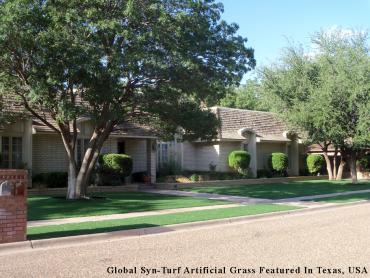Artificial Grass Photos: Faux Grass Del City, Oklahoma Backyard Deck Ideas, Front Yard Landscaping