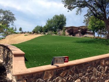 Artificial Grass Photos: Faux Grass Thackerville, Oklahoma Lawns, Front Yard Landscaping
