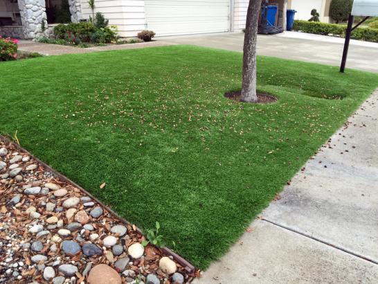 Artificial Grass Photos: Faux Grass Yeager, Oklahoma Landscape Ideas, Small Front Yard Landscaping