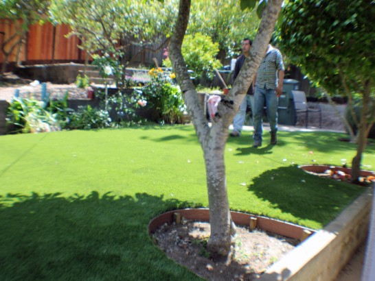 Artificial Grass Photos: Grass Carpet Coweta, Oklahoma Home And Garden, Backyard