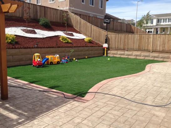 Artificial Grass Photos: Grass Carpet Kingfisher, Oklahoma Playground Safety, Backyard Landscaping