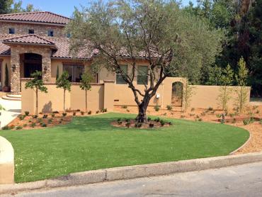 Artificial Grass Photos: Grass Turf Inola, Oklahoma Landscaping, Landscaping Ideas For Front Yard