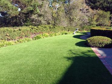 Artificial Grass Photos: Grass Turf Thomas, Oklahoma Landscaping Business, Front Yard Landscape Ideas