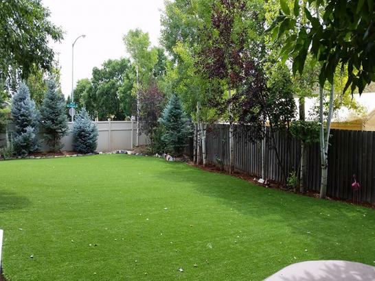 Artificial Grass Photos: Green Lawn Sugden, Oklahoma Garden Ideas, Backyard Ideas