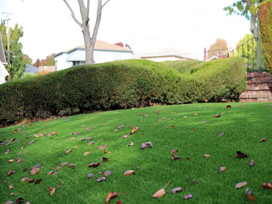 Artificial Grass Photos: How To Install Artificial Grass Addington, Oklahoma Roof Top, Front Yard Landscaping