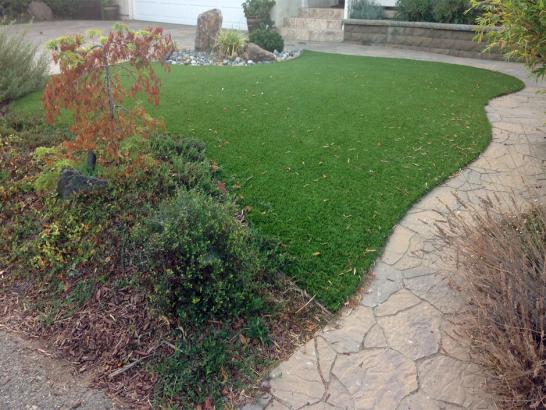 Artificial Grass Photos: How To Install Artificial Grass Marietta, Oklahoma Artificial Turf For Dogs, Backyards