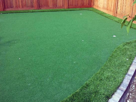 Artificial Grass Photos: How To Install Artificial Grass Rentiesville, Oklahoma Artificial Putting Greens, Backyard Design