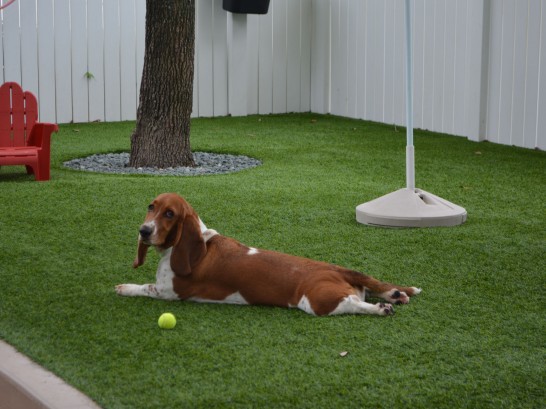 Artificial Grass Photos: How To Install Artificial Grass Spencer, Oklahoma Dog Parks,  Dog Kennels