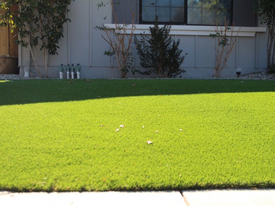 Artificial Grass Photos: Installing Artificial Grass Noble, Oklahoma Garden Ideas, Front Yard Design