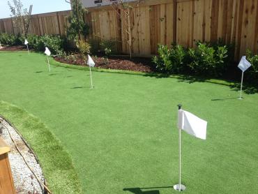 Artificial Grass Photos: Lawn Services Beggs, Oklahoma Office Putting Green, Beautiful Backyards