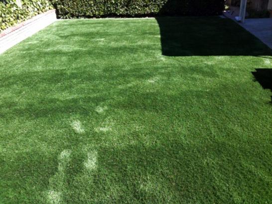 Artificial Grass Photos: Lawn Services Box, Oklahoma Dog Pound, Backyard Landscape Ideas